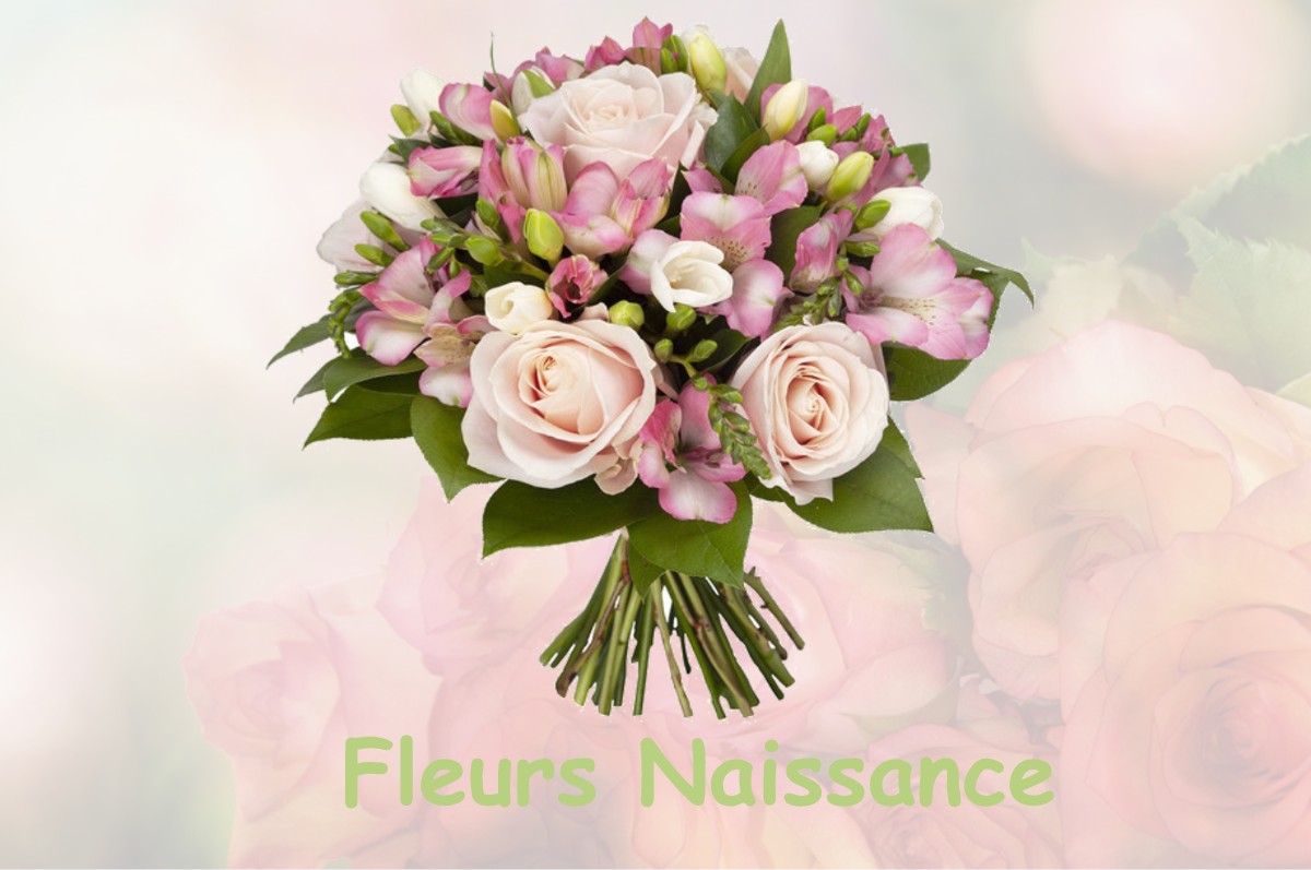 fleurs naissance FRANSURES